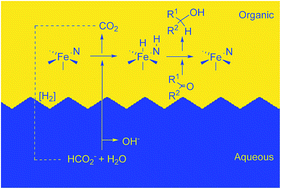 Graphical abstract: Aqueous biphasic iron-catalyzed asymmetric transfer hydrogenation of aromatic ketones