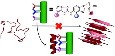 Graphical abstract: Non-covalent S⋯O interactions control conformation in a scaffold that disrupts islet amyloid polypeptide fibrillation