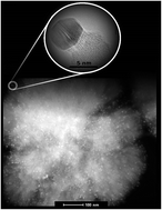 Graphical abstract: Achieving nano-gold stability through rational design