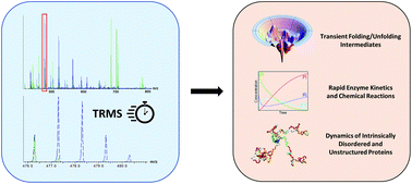 Graphical abstract: Unravelling the mysteries of sub-second biochemical processes using time-resolved mass spectrometry