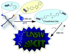 Graphical abstract: Spatially resolved coding of λ-orthogonal hydrogels by laser lithography