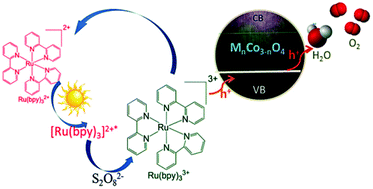 Graphical abstract: Iron–cobalt bimetal oxide nanorods as efficient and robust water oxidation catalysts