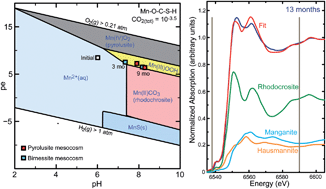 Graphical abstract: Characterization of manganese oxide amendments for in situ remediation of mercury-contaminated sediments