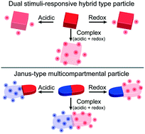 Graphical abstract: Fabrication of dual stimuli-responsive multicompartmental drug carriers for tumor-selective drug release