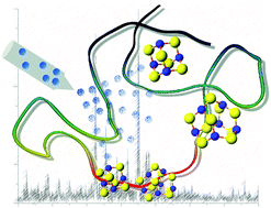 Graphical abstract: Stepwise copper(i) binding to metallothionein: a mixed cooperative and non-cooperative mechanism for all 20 copper ions