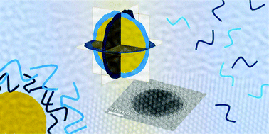 Graphical abstract: Characterization of silver-polymer core–shell nanoparticles using electron microscopy