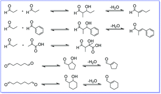 Graphical abstract: Inter- and intramolecular aldol reactions promiscuously catalyzed by a proline-based tautomerase