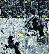 Graphical abstract: Enhanced magnetization in unusual carbon-nanotube/carbon-foam cm-scale hybrid-buckypaper films with high α-Fe filling-ratio