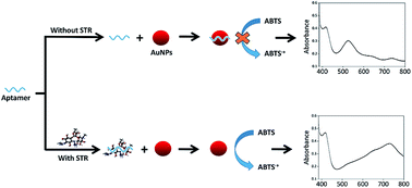 Graphical abstract: Colorimetric detection of streptomycin in milk based on peroxidase-mimicking catalytic activity of gold nanoparticles