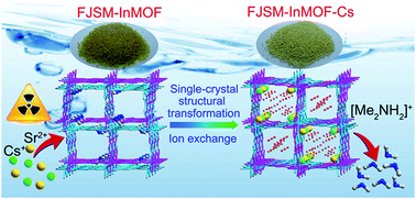 Graphical abstract: An easily synthesized microporous framework material for the selective capture of radioactive Cs+ and Sr2+ ions