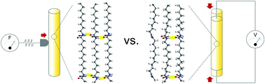 Graphical abstract: The effect of crystal structure on the electromechanical properties of piezoelectric Nylon-11 nanowires