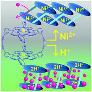 Graphical abstract: Central metal dependent modulation of induced-fit gas uptake in molecular porphyrin solids