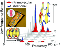 Graphical abstract: Relationship between electron–phonon interaction and low-frequency Raman anisotropy in high-mobility organic semiconductors