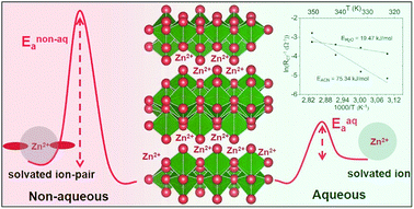 Graphical abstract: Aqueous vs. nonaqueous Zn-ion batteries: consequences of the desolvation penalty at the interface