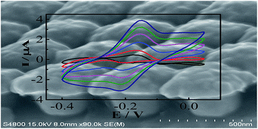 Graphical abstract: Illuminating nanostructured gold electrode: surface plasmons or electron ejection?