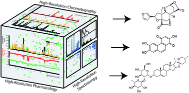 Graphical abstract: Unraveling the complexity of complex mixtures by combining high-resolution pharmacological, analytical and spectroscopic techniques: antidiabetic constituents in Chinese medicinal plants