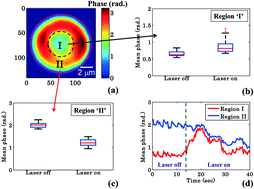 Graphical abstract: Quantitative phase microscopy of red blood cells during planar trapping and propulsion