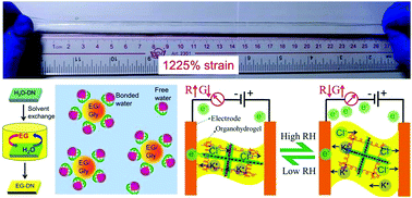 Graphical abstract: An intrinsically stretchable humidity sensor based on anti-drying, self-healing and transparent organohydrogels