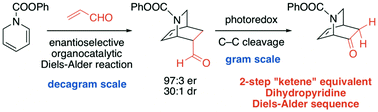 Graphical abstract: Enantioselective isoquinuclidine synthesis via sequential Diels–Alder/visible-light photoredox C–C bond cleavage: a formal synthesis of the indole alkaloid catharanthine