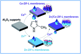 Graphical abstract: Heterogeneous ZIF-L membranes with improved hydrophilicity and anti-bacterial adhesion for potential application in water treatment