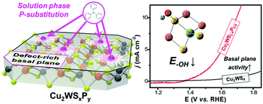 Graphical abstract: Solution-phase phosphorus substitution for enhanced oxygen evolution reaction in Cu2WS4