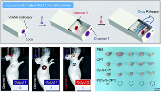 Graphical abstract: A sequence-activated AND logic dual-channel fluorescent probe for tracking programmable drug release