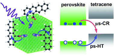 Graphical abstract: Picosecond multi-hole transfer and microsecond charge-separated states at the perovskite nanocrystal/tetracene interface