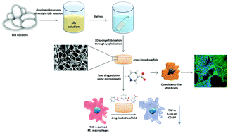 Graphical abstract: Silk based scaffolds with immunomodulatory capacity: anti-inflammatory effects of nicotinic acid