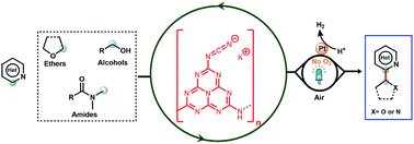 Graphical abstract: Carbon nitride as a heterogeneous visible-light photocatalyst for the Minisci reaction and coupling to H2 production