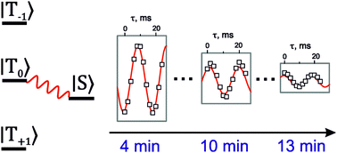 Graphical abstract: Excitation of singlet–triplet coherences in pairs of nearly-equivalent spins