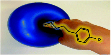 Graphical abstract: On the stability of a dipole-bound state in the presence of a molecule