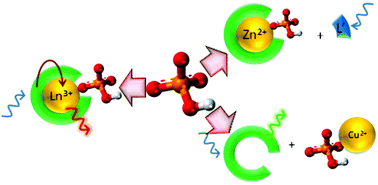 Graphical abstract: Design and applications of metal-based molecular receptors and probes for inorganic phosphate