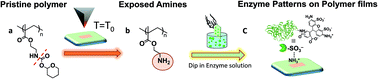 Graphical abstract: High-throughput protein nanopatterning