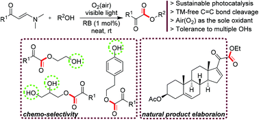 Graphical abstract: Ambient and aerobic carbon–carbon bond cleavage toward α-ketoester synthesis by transition-metal-free photocatalysis
