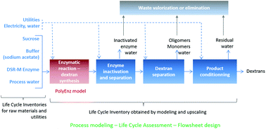 Graphical abstract: An eco-design approach for an innovative production process of low molar mass dextran