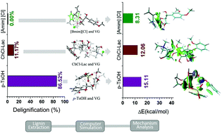 Graphical abstract: Mechanistic insights into the lignin dissolution behaviors of a recyclable acid hydrotrope, deep eutectic solvent (DES), and ionic liquid (IL)