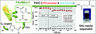 Graphical abstract: Catalytic transfer hydrogenation of maleic acid with stoichiometric amounts of formic acid in aqueous phase: paving the way for more sustainable succinic acid production