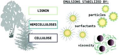 Graphical abstract: Strategies for structuring diverse emulsion systems by using wood lignocellulose-derived stabilizers