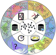 Graphical abstract: Natural products targeting strategies involving molecular networking: different manners, one goal