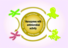 Graphical abstract: Recent advances in nanoparticulate biomimetic catalysts for combating bacteria and biofilms