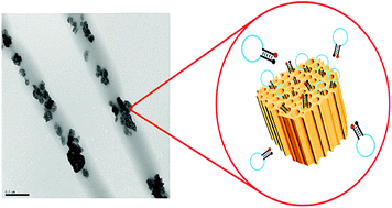 Graphical abstract: Hybrid polymer/porous silicon nanofibers for loading and sustained release of synthetic DNA-based responsive devices