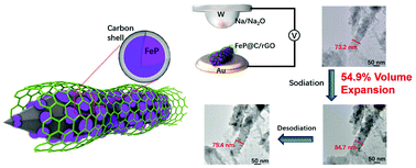 Graphical abstract: Enhanced sodium storage kinetics by volume regulation and surface engineering via rationally designed hierarchical porous FeP@C/rGO