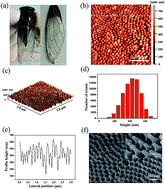 Graphical abstract: Bioscaffold arrays decorated with Ag nanoparticles as a SERS substrate for direct detection of melamine in infant formula