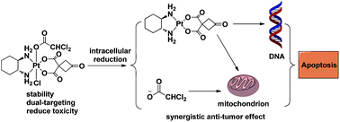 Graphical abstract: Improving the anticancer activity of platinum(iv) prodrugs using a dual-targeting strategy with a dichloroacetate axial ligand