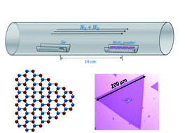 Graphical abstract: Sub-millimeter size high mobility single crystal MoSe2 monolayers synthesized by NaCl-assisted chemical vapor deposition
