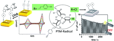 Graphical abstract: Exploiting the versatile alkyne-based chemistry for expanding the applications of a stable triphenylmethyl organic radical on surfaces