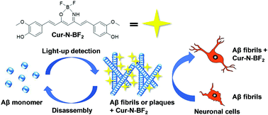 Graphical abstract: An AIE-active theranostic probe for light-up detection of Aβ aggregates and protection of neuronal cells