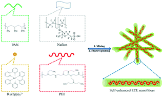 Graphical abstract: Ultrasensitive self-enhanced electrochemiluminescence sensor based on novel PAN@Ru@PEI@Nafion nanofiber mat