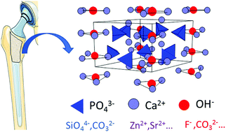 Graphical abstract: Substituted hydroxyapatite coatings of bone implants