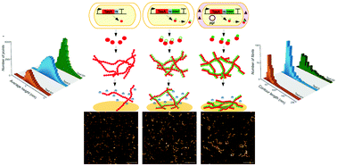 Graphical abstract: Engineering of biofilms with a glycosylation circuit for biomaterial applications